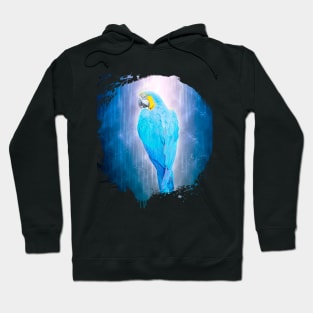 Parrot Bird Animal Wildlife Forest Jungle Nature Travel Hoodie